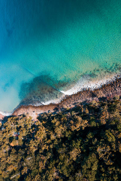 istock Stunning Noosa Beach 1166145989