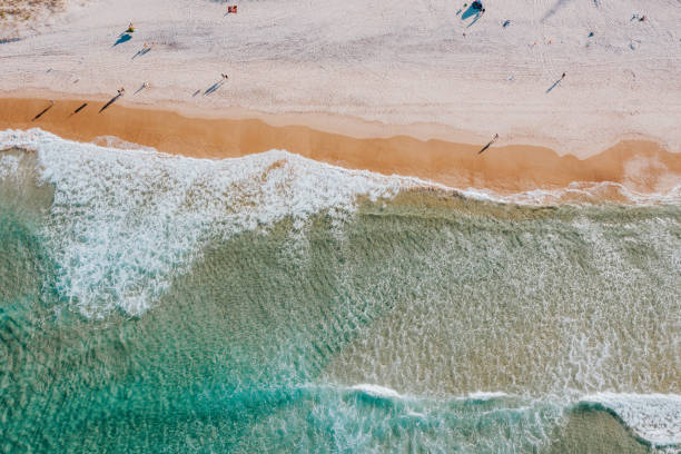 istock Waves and Golden Sand 1166146097