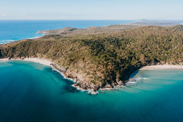 istock Noosa Heads National Park 1166146962
