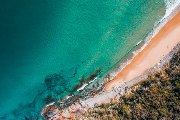 istock Forest Meets The Sea 1166147090