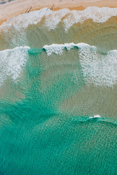 istock Australia's Summer Colour Palette 1166148111