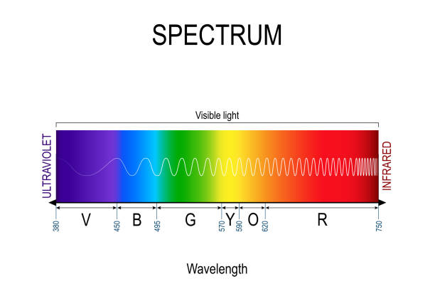 ilustraciones, imágenes clip art, dibujos animados e iconos de stock de color de espectro visible. infografía del color de la luz solar - light waving rainbow vector