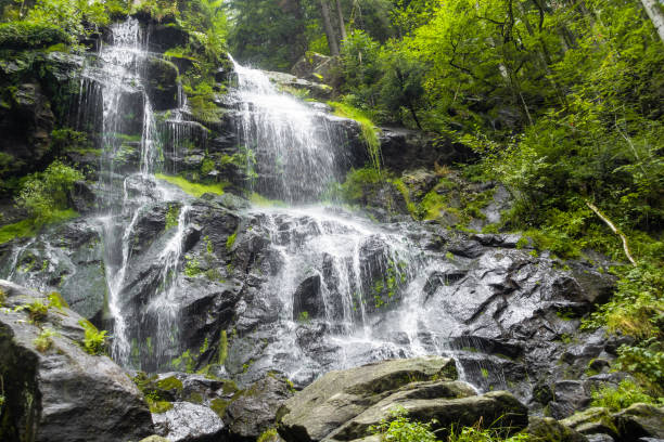 istock Zweribach waterfalls south Germany 1166149414