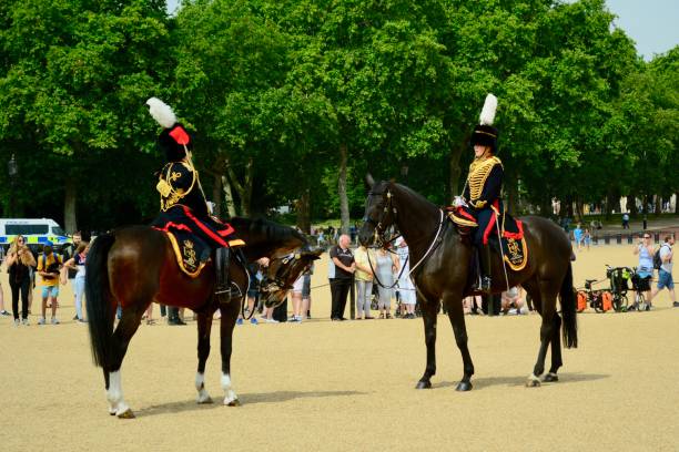 changing of the guard at the horse guards parade, horse guards building, london - guard of honor imagens e fotografias de stock