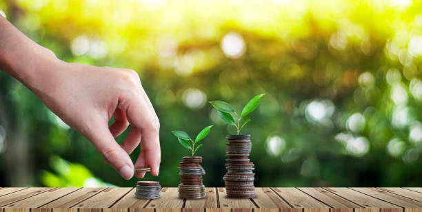 istock Saving money for growing business and future concept 1166150352