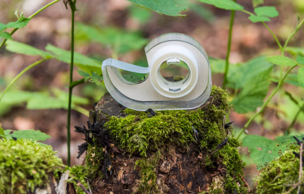 istock Cellophane Tape Dispenser on a Tree Stump in a Forest 1166150496