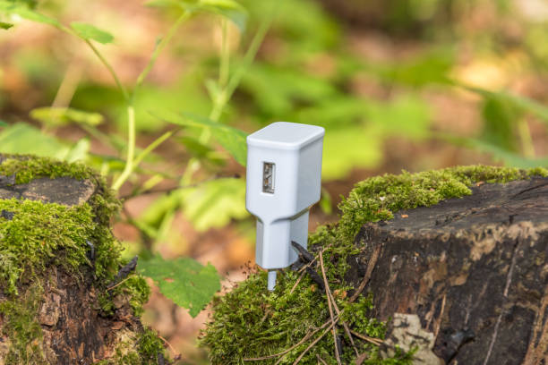 istock White European USB Power Charger Adapter on a Tree Stump in a Forest 1166150563