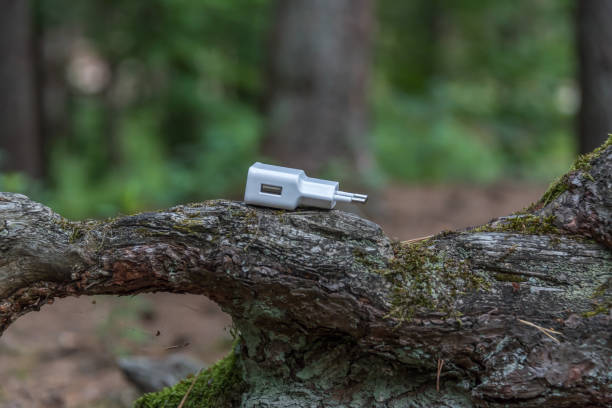 istock White European USB Power Charger Adapter on a Tree Branch in a Forest 1166150609