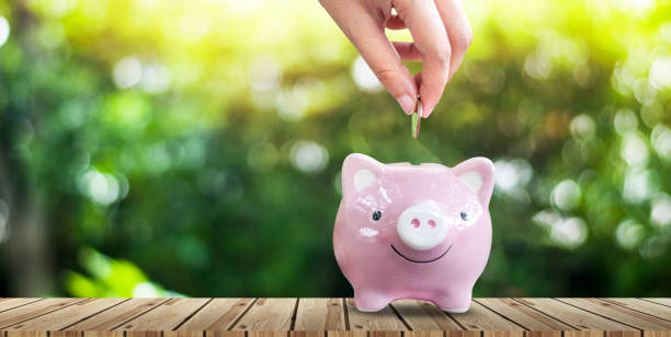 istock Saving money for growing business and future concept 1166150704