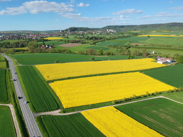 istock Flight over some rape fields in South Germany near Herrenberg 1166151693