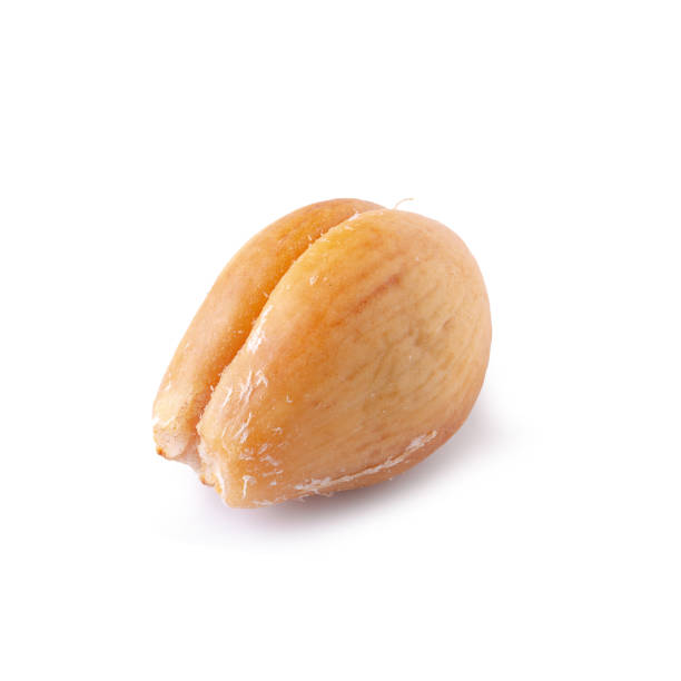 istock Salak snake fruit isolated over white background 1166151823