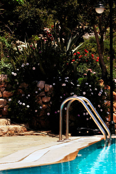 istock Nice pool with bright flowers in the background 1166152015