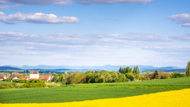 istock landscape scenery at Gueltstein Herrenberg Germany 1166153586