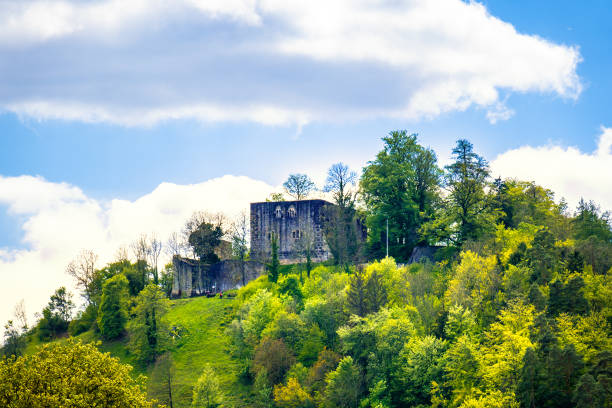 istock castle ruin at Albeck south Germany 1166153629