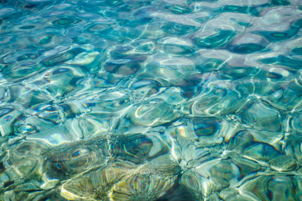 istock Turquoise sea surface with transparent shallow water 1166158669