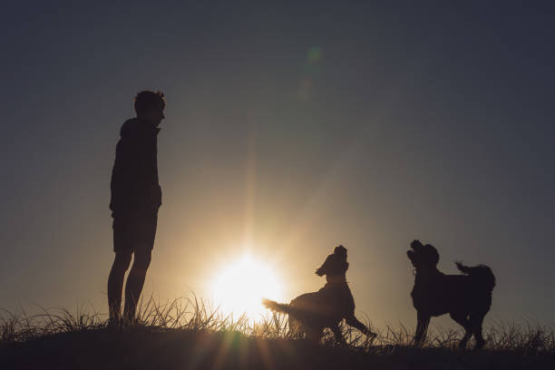 istock Teenage Boy Playing With His Dog At Sunset 1166158917