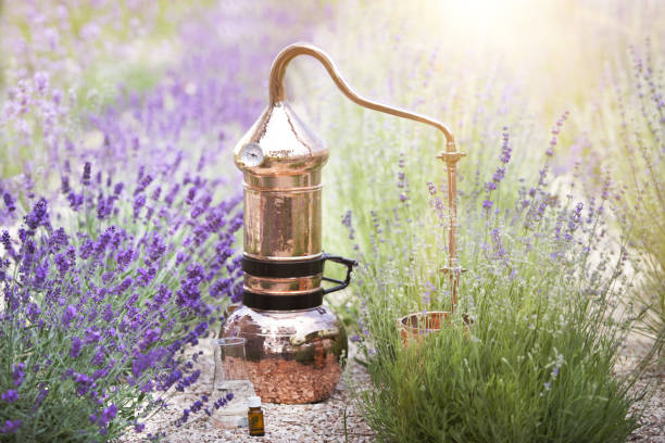 istock Distilling apparatus alembic with esential oil. 1166158954