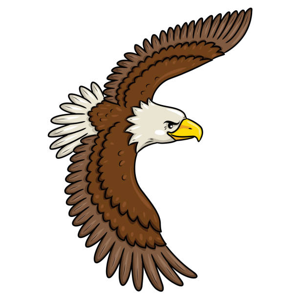 Eagle Cartoon Style Stock Illustration - Download Image Now - Eagle - Bird, Bald  Eagle, Flying - iStock
