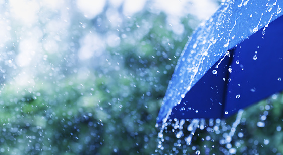 Lifestyle scene of rainy weather. Blue umbrella under rainfall. Banner format with copy space.