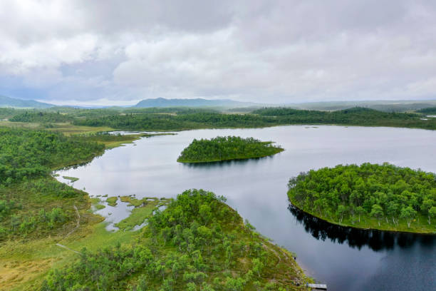 istock Lakes, islands and forests 1166159041