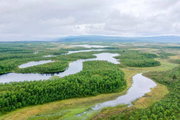 istock Lakes and forests 1166159061