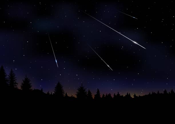 Vector illustration of Meteor Shower on dark night sky. Vector illustration of Meteor Shower. Falling Perseids on dark night sky. Meteor rain, falling glowing comets on natural landscape at night. Sci-fi, scientific, astronomy background with copy space. rain silhouettes stock illustrations
