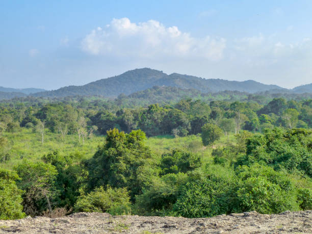 istock Impression of Sri Lanka 1166160123