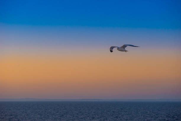 istock Beautiful sunset over Mediterranean sea 1166162055