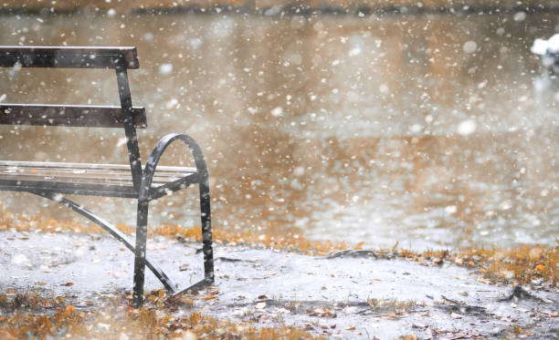istock Autumn park in the first snow 1166162312