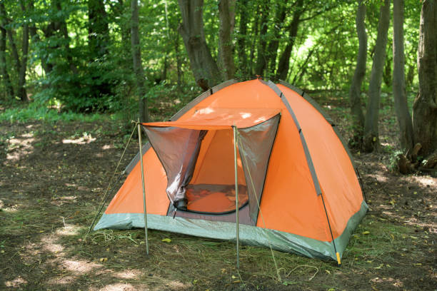 istock Tent camping  one orange  tent among the oak trees 1166162410