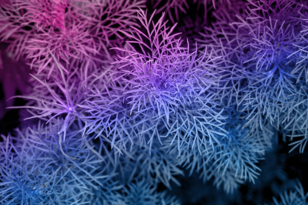 istock Abstract Textures The Green Plants From Nature 1166162753