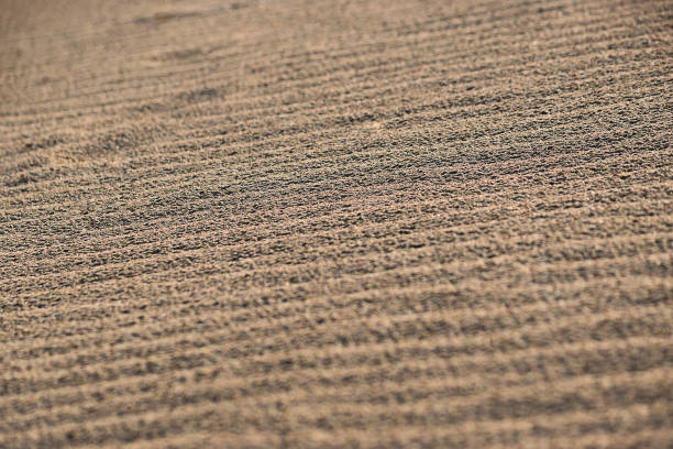 istock Close up sand ripples with footsteps. 1166163345