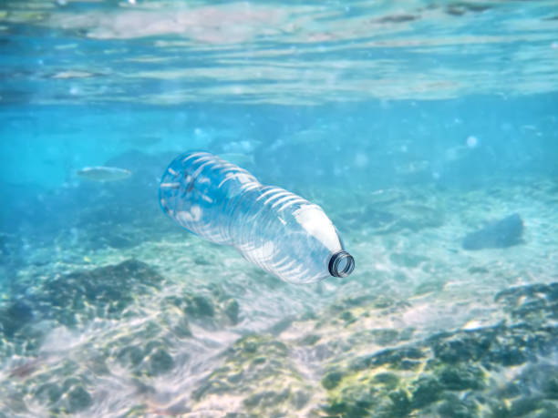 istock plastic bottle floats in the clear ocean 1166163638