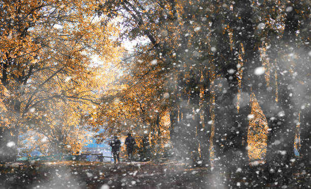 istock Autumn park in the first snow 1166164591