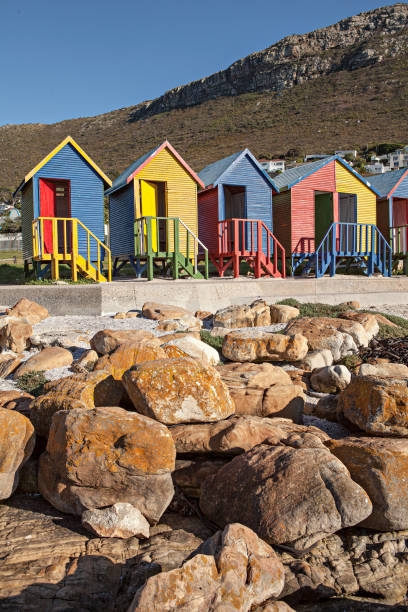 istock colored cabins on the beach in south africa 1166165343