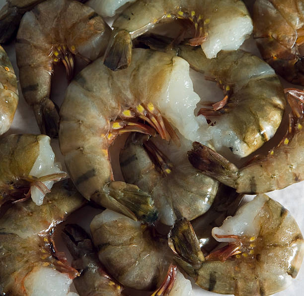 istock King size shrimps 116616584