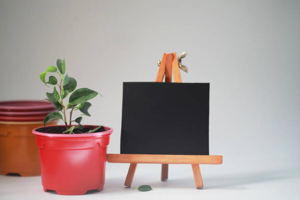 istock Potted plant in a transplant and care 1166167578