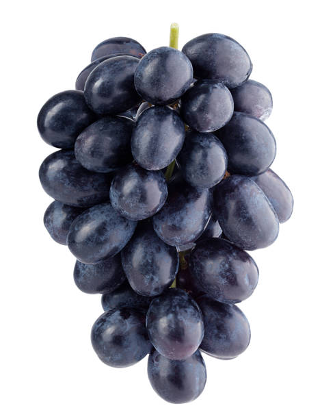 istock purple grape, isolated on white background, clipping path, full depth of field 1166171391