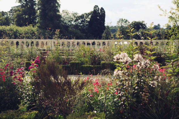 beautiful ornamental garden