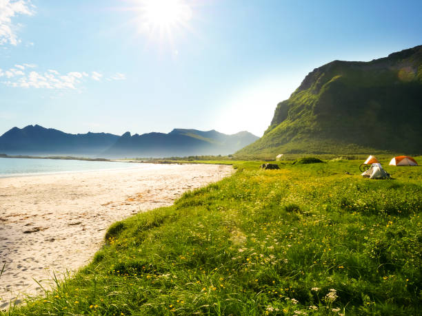 istock Seascape with tent on beach, Lofoten Norway 1166171439