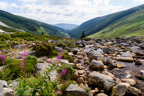 Rocky river at the Wicklow Gap, County Wicklow, Ireland
