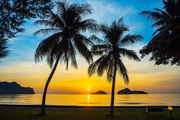 istock Sunrise at sea with islands and coconut trees. 1166173911