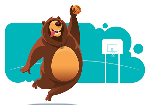 bear play basketball