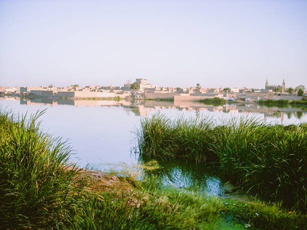 팀북투, 말리에서 니제르 강의 전경. - niger river 뉴스 사진 이미지