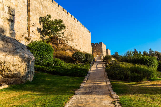 istock Stone-paved footpath through green lawn 1166185518