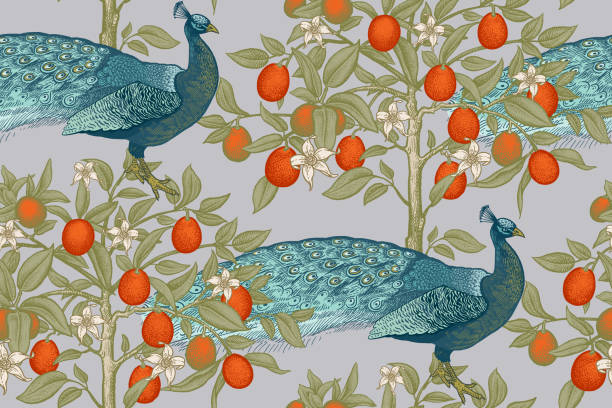 Peacocks and citruses kumquats. Seamless pattern with blooming fruit trees and birds. Seamless pattern with blooming fruit trees and birds. Peacocks and citruses kumquats. Vintage vector art illustration. Template for textile, paper, wallpaper. bird backgrounds stock illustrations