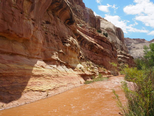 istock River in Capitol Reef National Park 1166188417