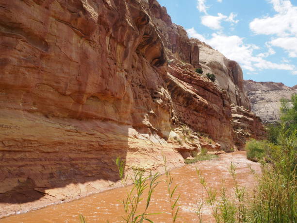 istock River in Capitol Reef National Park 1166188451
