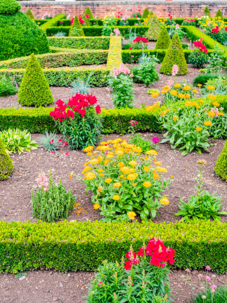 istock lush english cottage garden 1166190198