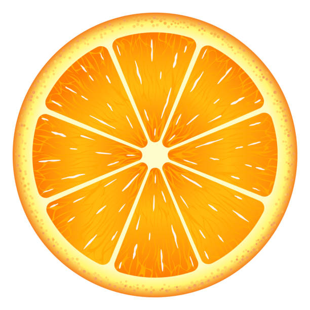 480+ Stacked Sliced Orange Stock Illustrations, Royalty-Free Vector ...